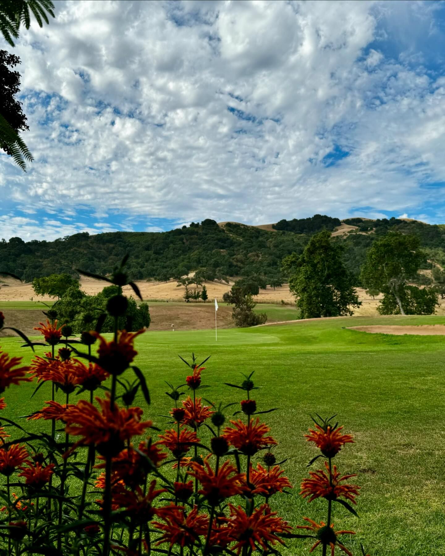 Home Gavilan Golf Course