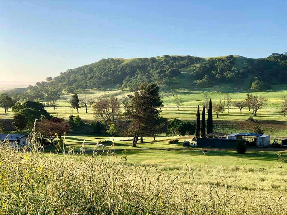 View of golf course with mountains in the distance