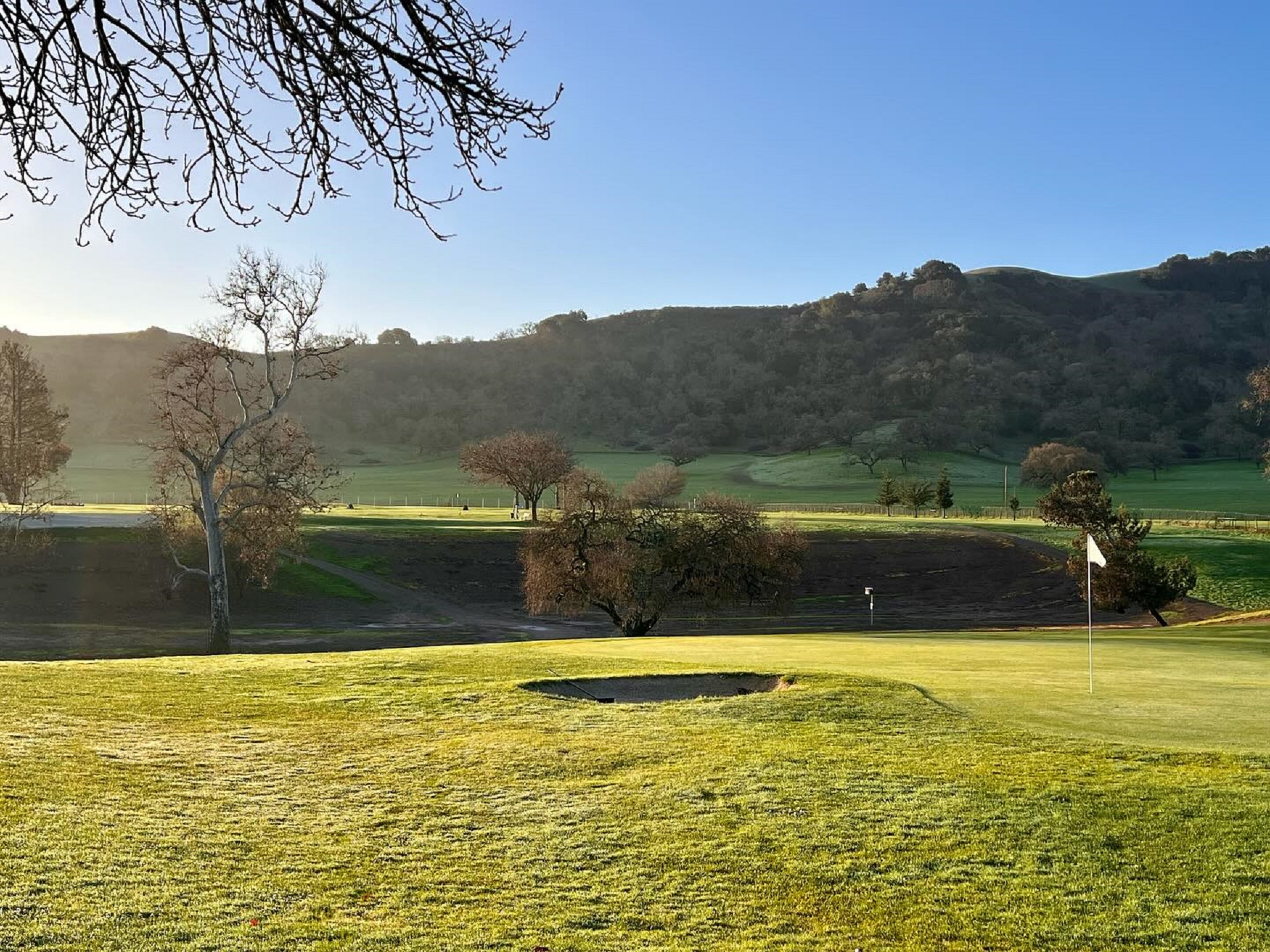 View of Golf Course Green